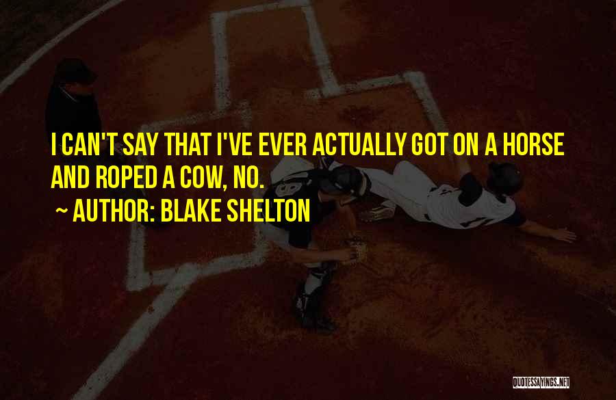 Blake Shelton Quotes 861004