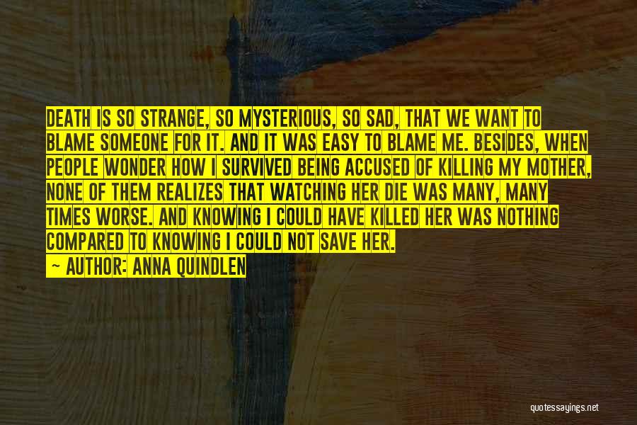 Blame And Death Quotes By Anna Quindlen