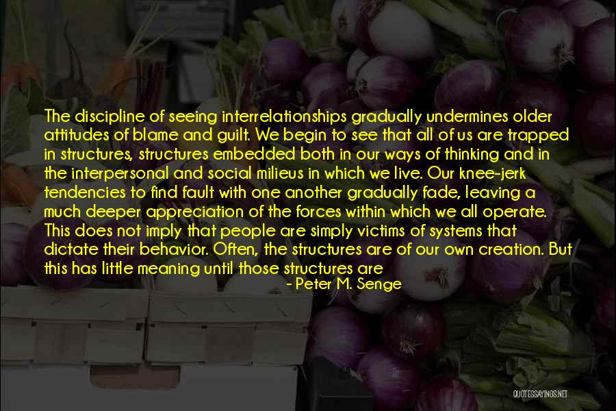 Blame And Fault Quotes By Peter M. Senge Blame And Fault Quotes By Peter M. Senge