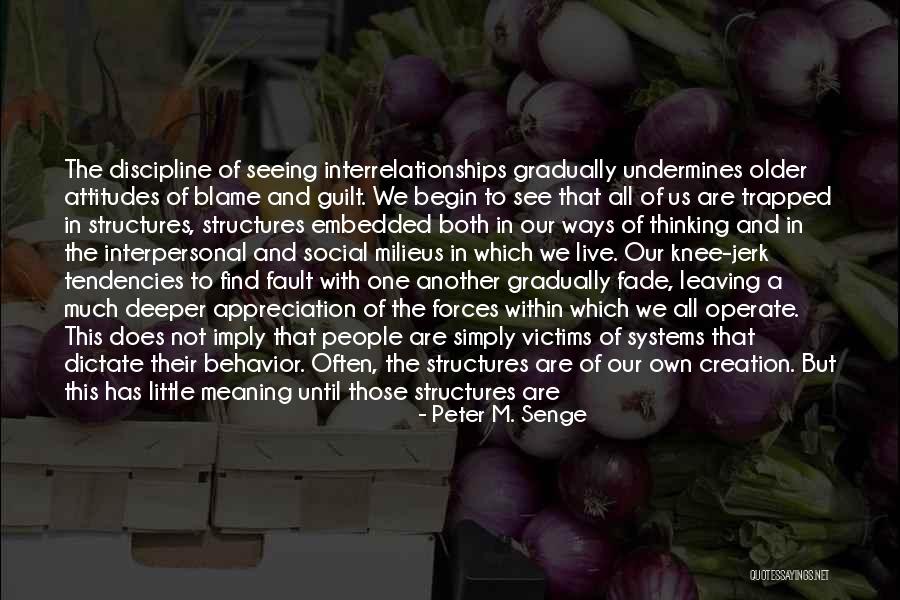 Blame And Guilt Quotes By Peter M. Senge