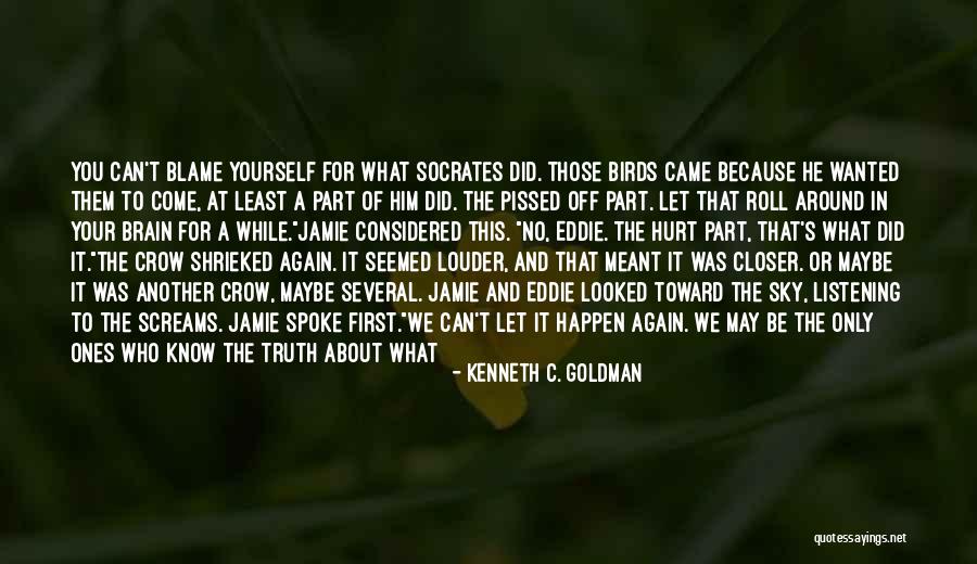 Blame And Hurt Quotes By Kenneth C. Goldman