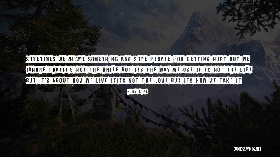 Blame And Hurt Quotes By My Life Blame And Hurt Quotes By My Life
