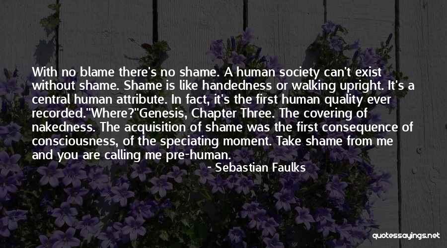 Blame And Shame Quotes By Sebastian Faulks Blame And Shame Quotes By Sebastian Faulks