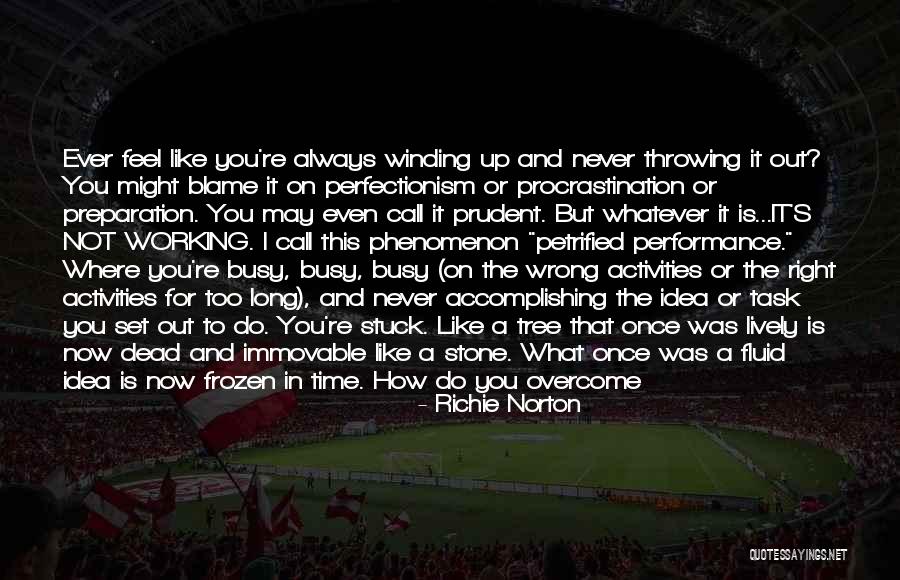 Blame And Time Quotes By Richie Norton