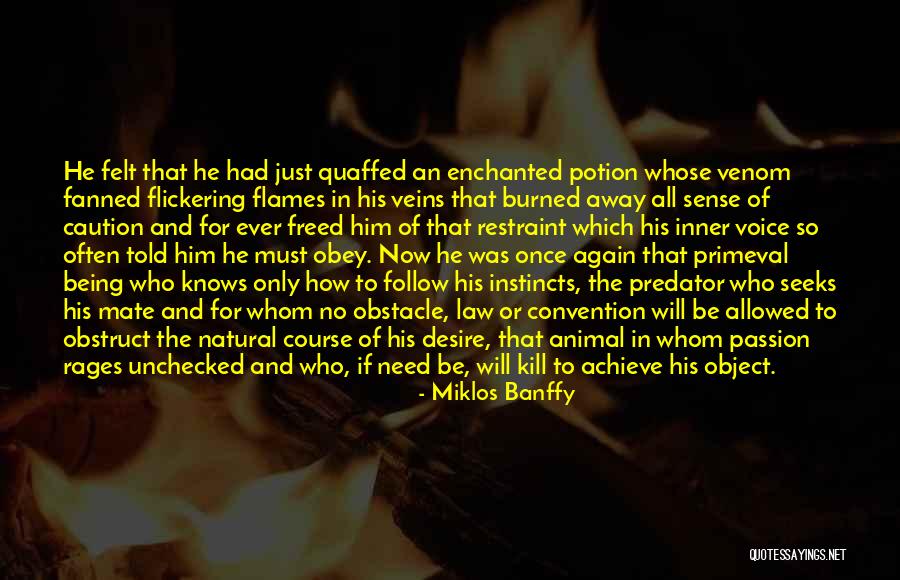 Blame Is Pointless Quotes By Miklos Banffy Blame Is Pointless Quotes By Miklos Banffy