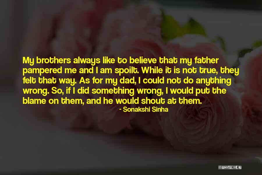 Blame It To Me Quotes By Sonakshi Sinha
