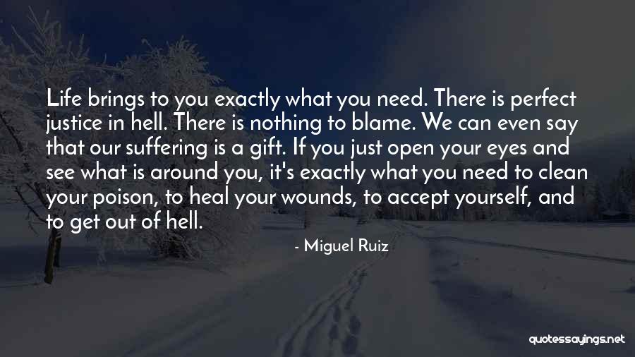 Blame Life Quotes By Miguel Ruiz Blame Life Quotes By Miguel Ruiz
