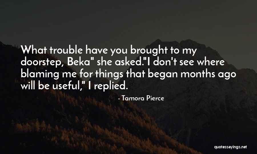 Blame Me Quotes By Tamora Pierce Blame Me Quotes By Tamora Pierce