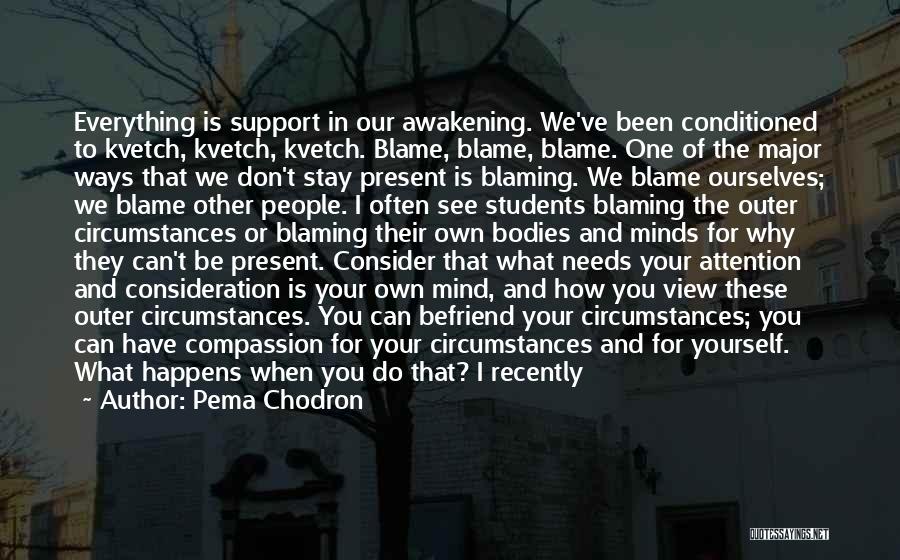Blame Myself For Everything Quotes By Pema Chodron