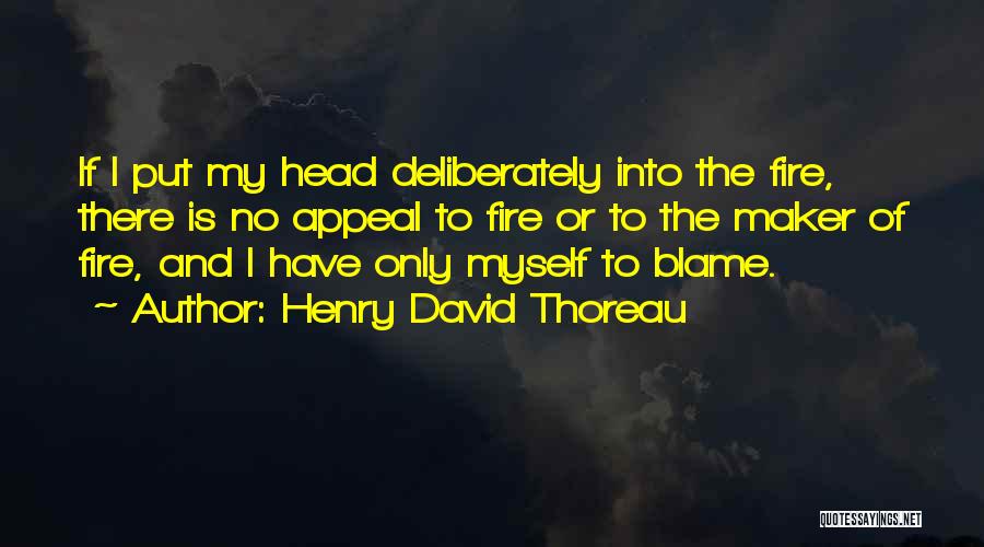 Blame Myself Quotes By Henry David Thoreau