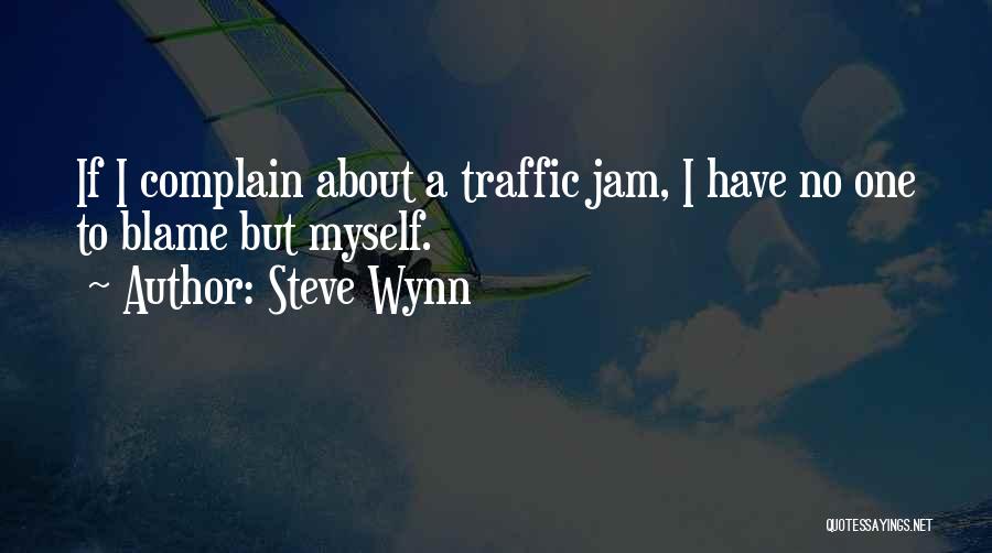 Blame Myself Quotes By Steve Wynn