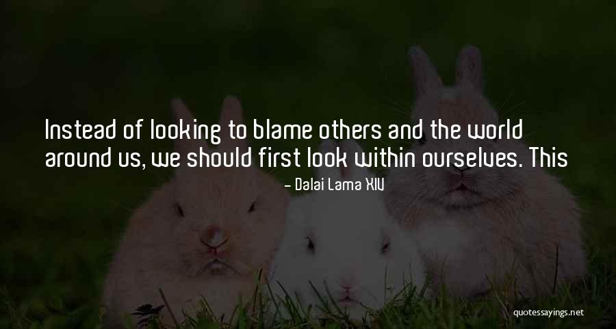 Blame Others Quotes By Dalai Lama XIV Blame Others Quotes By Dalai Lama XIV