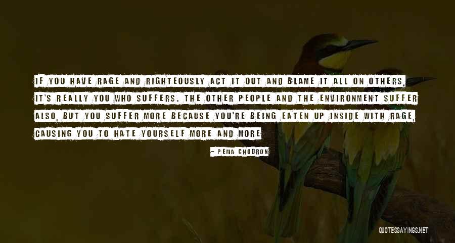 Blame Others Quotes By Pema Chodron Blame Others Quotes By Pema Chodron
