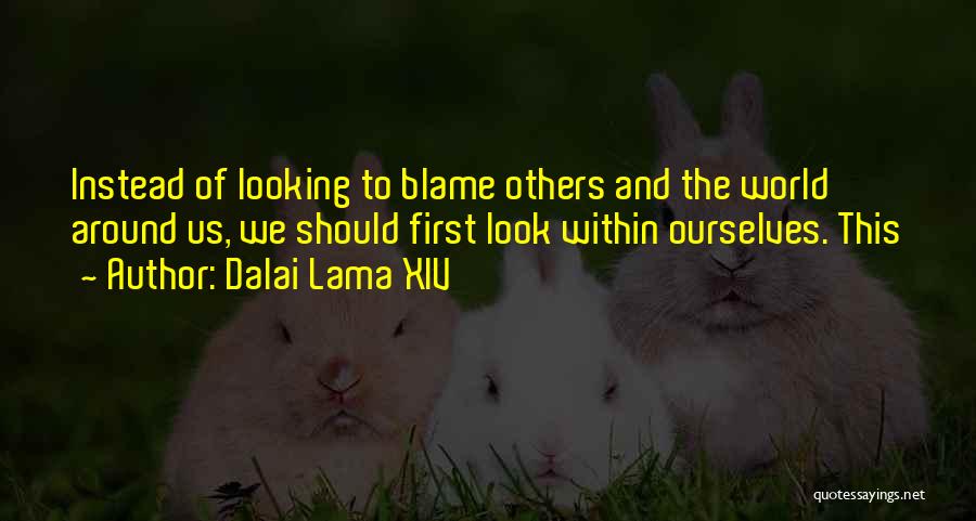 Blame Ourselves Quotes By Dalai Lama XIV