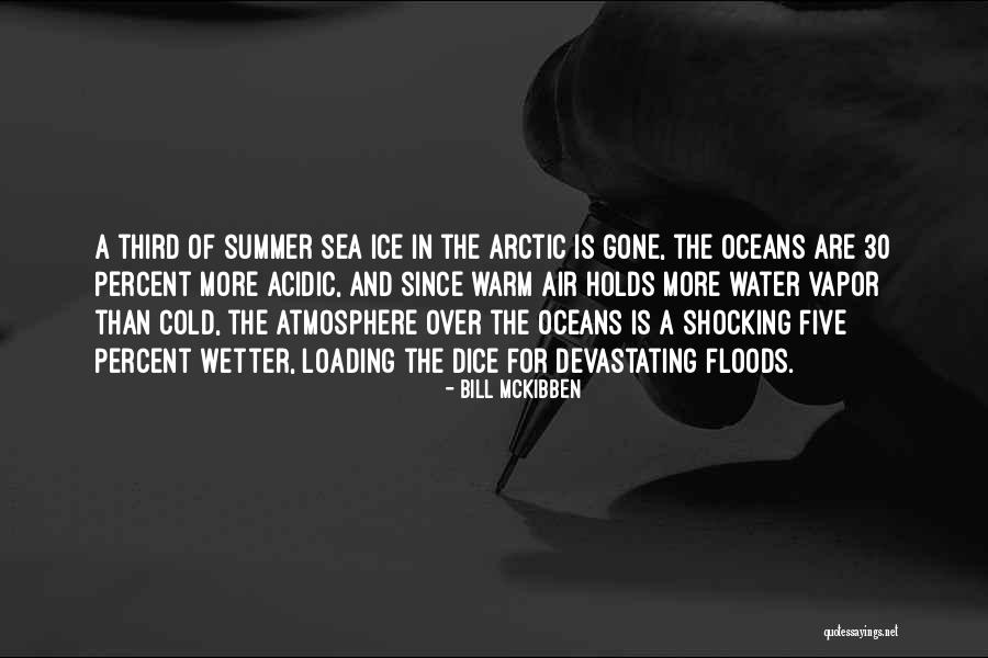 Blameful Synonym Quotes By Bill McKibben Blameful Synonym Quotes By Bill McKibben