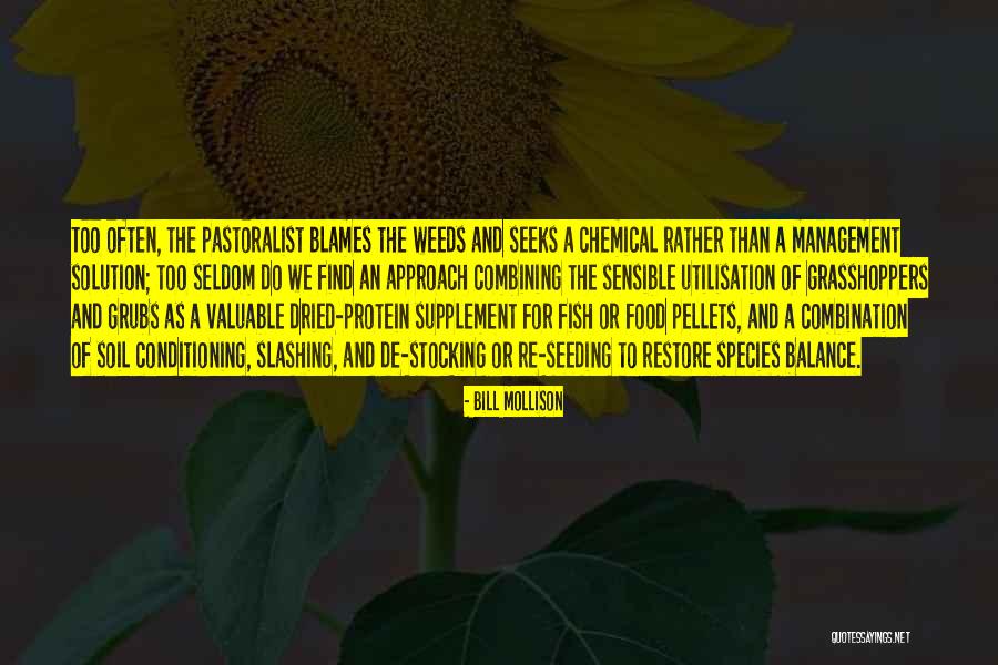 Blames Quotes By Bill Mollison Blames Quotes By Bill Mollison