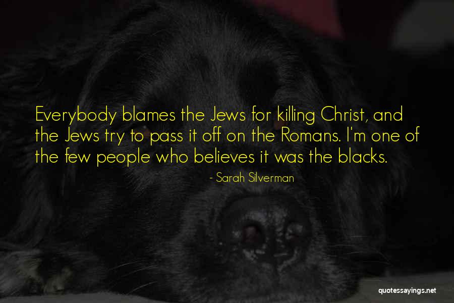 Blames Quotes By Sarah Silverman Blames Quotes By Sarah Silverman