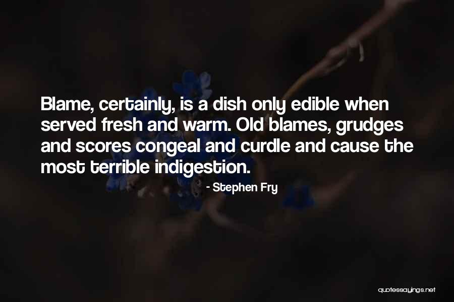 Blames Quotes By Stephen Fry Blames Quotes By Stephen Fry