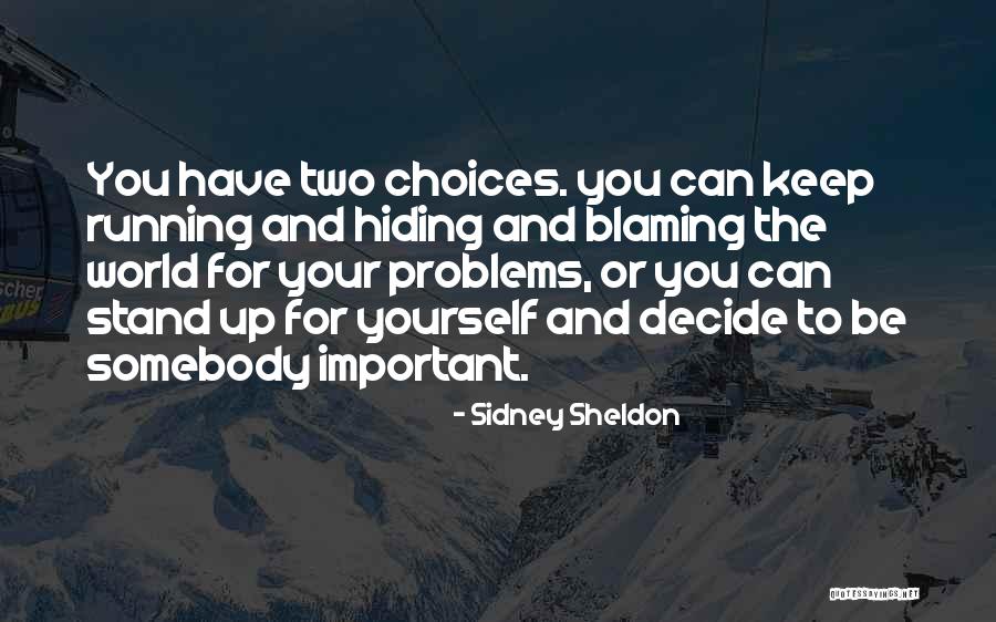 Blaming Others For Your Problems Quotes By Sidney Sheldon