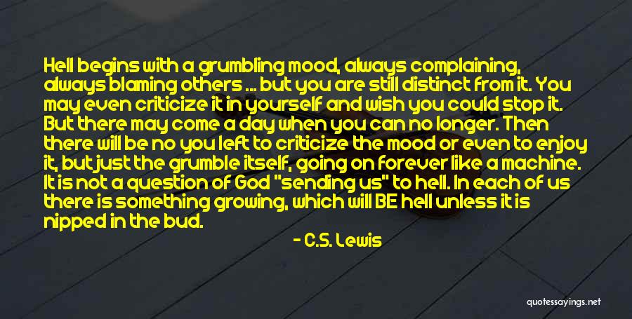 Blaming Others Quotes By C.S. Lewis