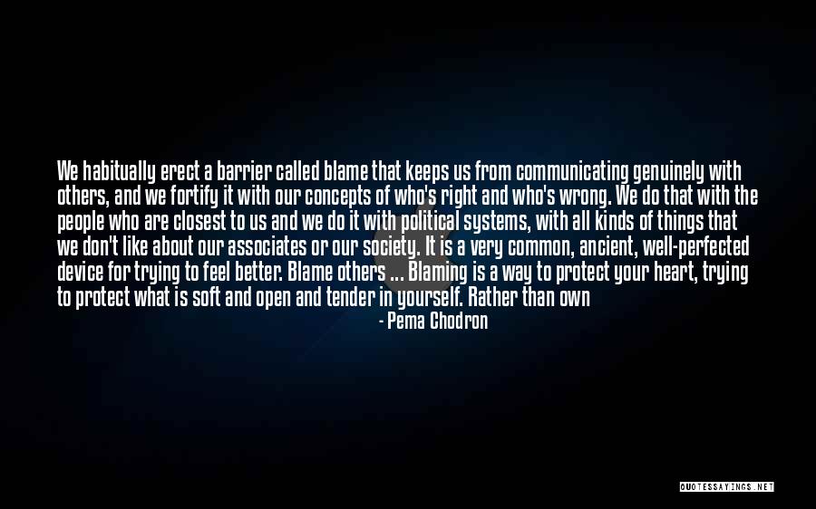 Blaming Others Quotes By Pema Chodron