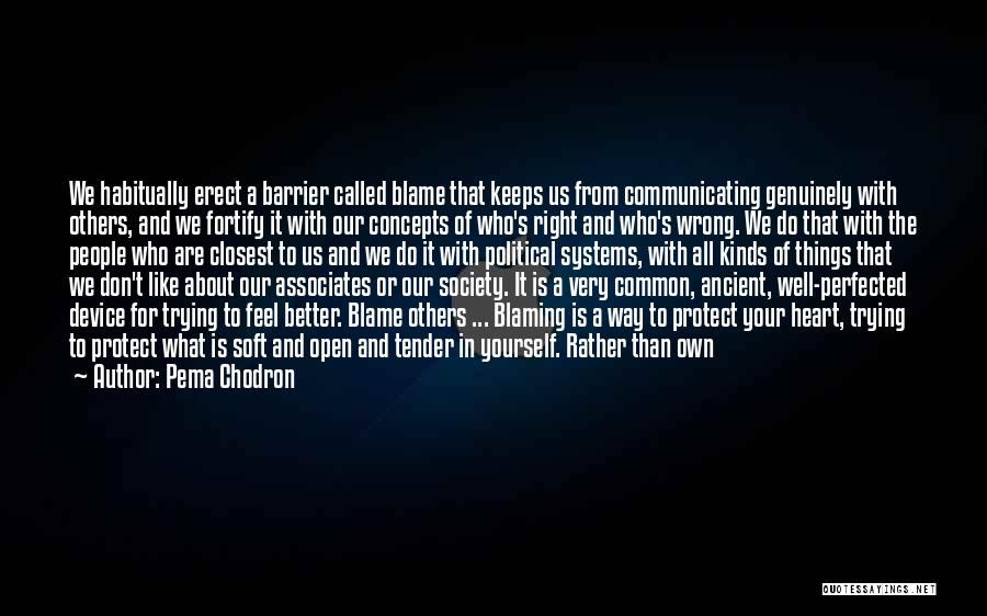 Blaming Society Quotes By Pema Chodron