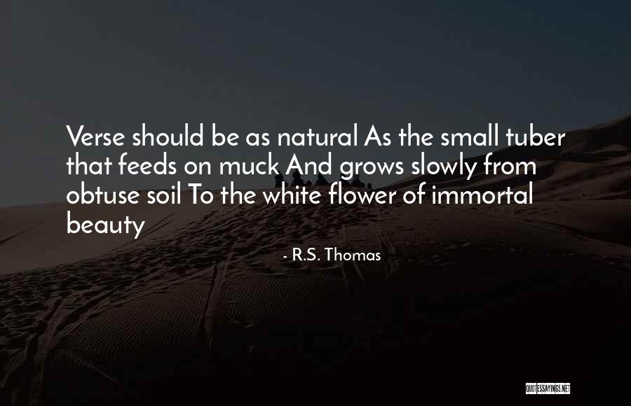 Blanched Broccoli Quotes By R.S. Thomas