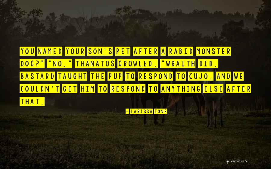 Blanckendaell Quotes By Larissa Ione Blanckendaell Quotes By Larissa Ione