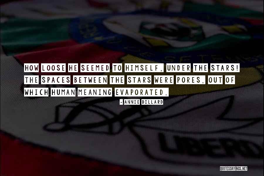 Blandy Becker Quotes By Annie Dillard Blandy Becker Quotes By Annie Dillard