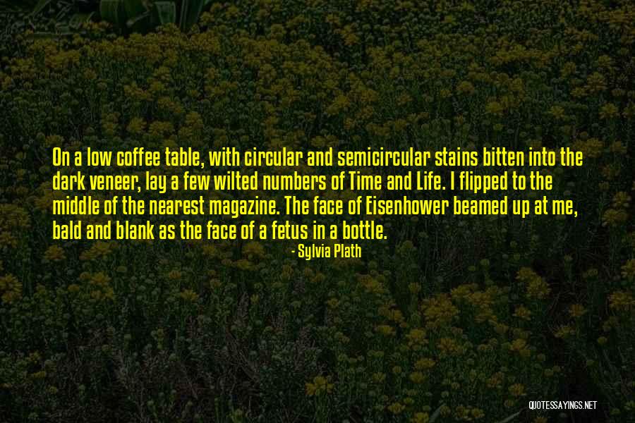 Blank Face Quotes By Sylvia Plath Blank Face Quotes By Sylvia Plath
