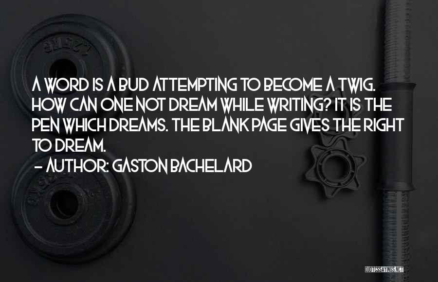 Blank Page Quotes By Gaston Bachelard