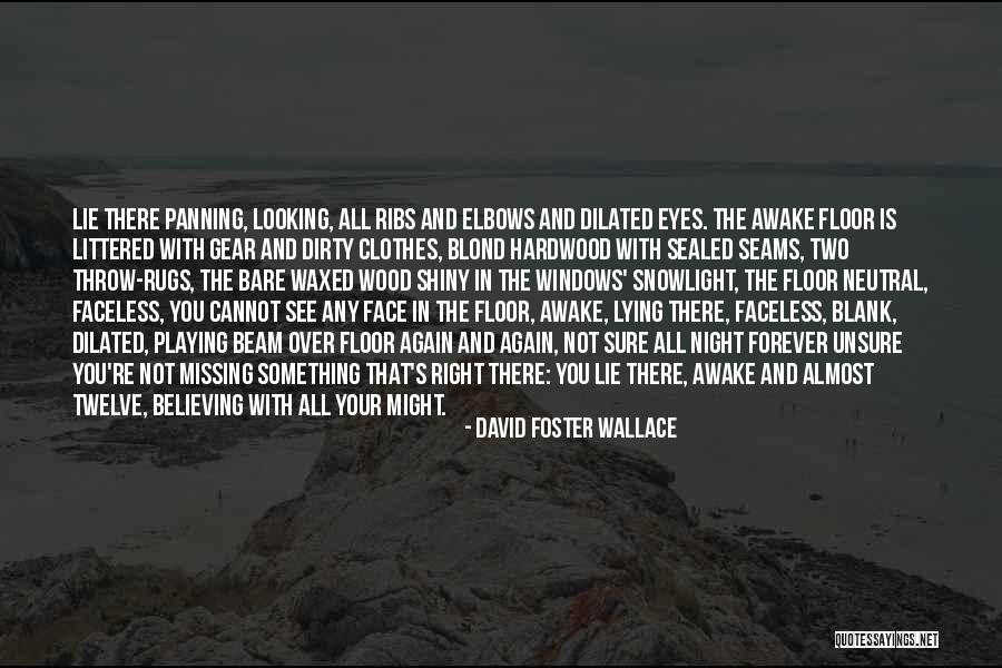 Blank Quotes By David Foster Wallace