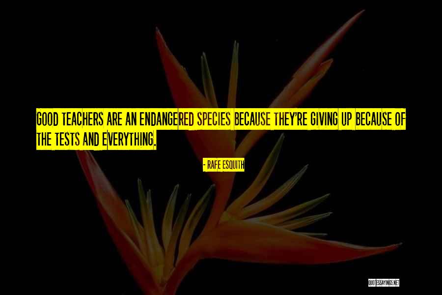 Blanketed In A Sentence Quotes By Rafe Esquith Blanketed In A Sentence Quotes By Rafe Esquith