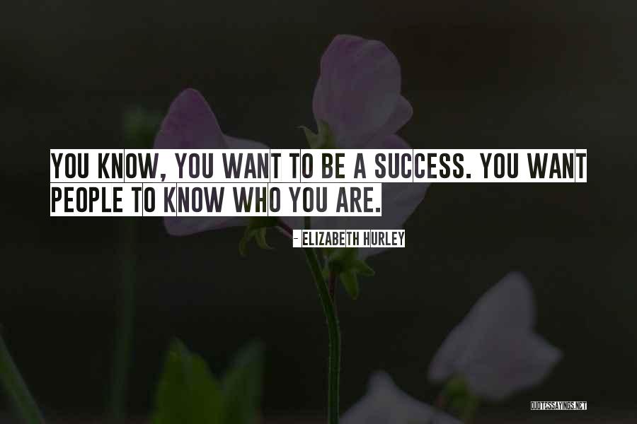Blankfein Goldman Quotes By Elizabeth Hurley Blankfein Goldman Quotes By Elizabeth Hurley