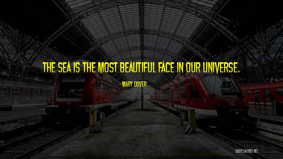 Blasensteine Quotes By Mary Oliver Blasensteine Quotes By Mary Oliver