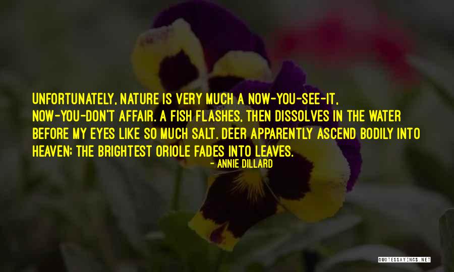 Blasfemia Quotes By Annie Dillard Blasfemia Quotes By Annie Dillard