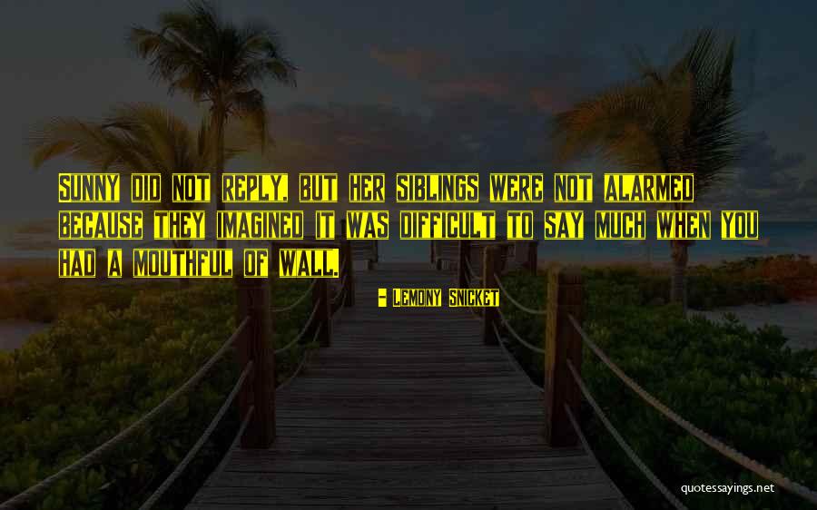 Blasius Middletown Quotes By Lemony Snicket Blasius Middletown Quotes By Lemony Snicket