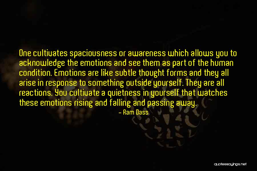 Blastershot Quotes By Ram Dass Blastershot Quotes By Ram Dass