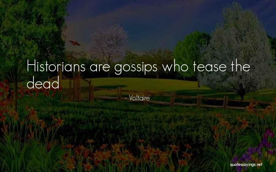Blastershot Quotes By Voltaire