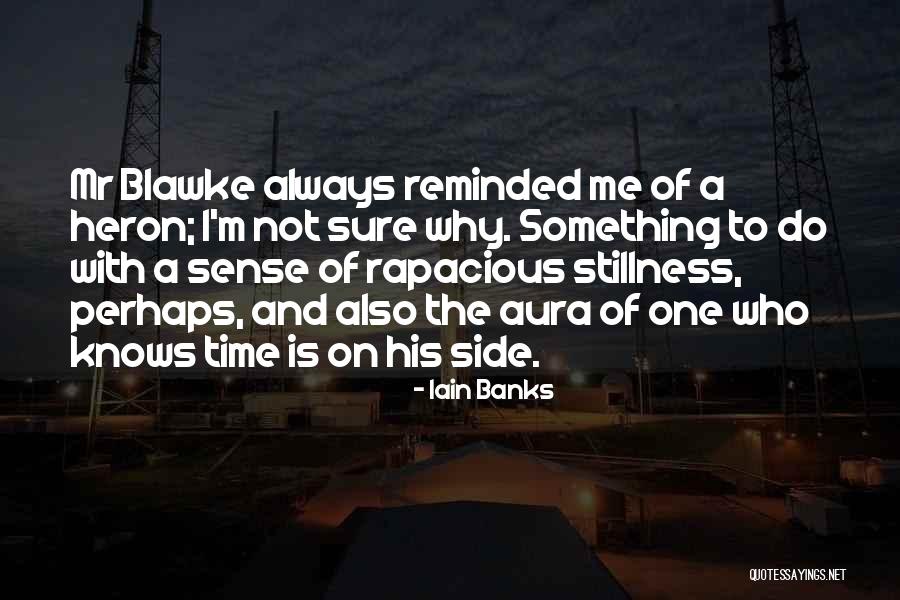 Blawke Quotes By Iain Banks Blawke Quotes By Iain Banks