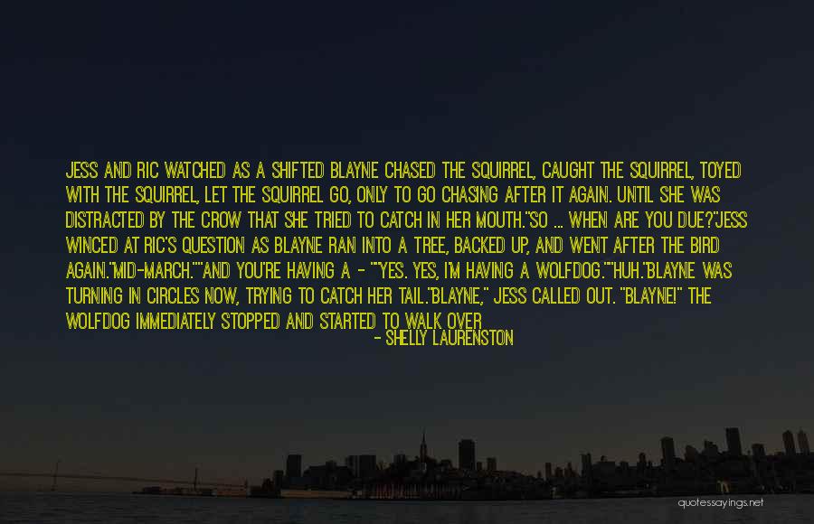 Blayne Quotes By Shelly Laurenston Blayne Quotes By Shelly Laurenston