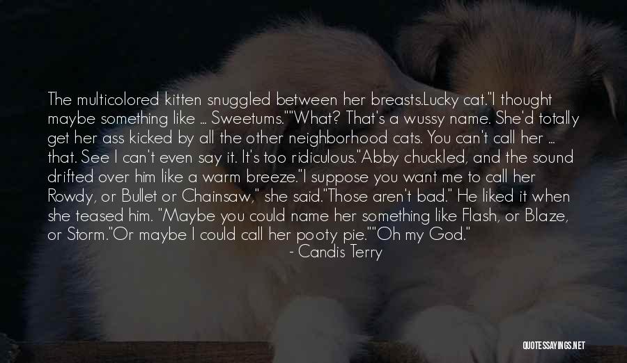 Blaze The Cat Quotes By Candis Terry Blaze The Cat Quotes By Candis Terry