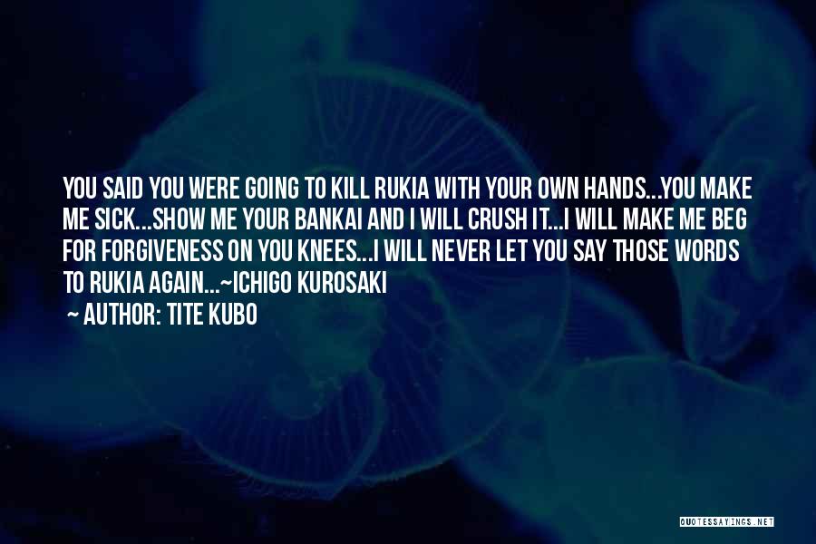 Bleach Ichigo And Rukia Quotes By Tite Kubo