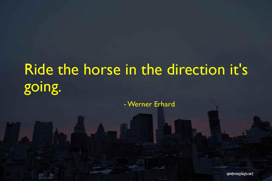 Bleak Expectations Harry Biscuit Quotes By Werner Erhard