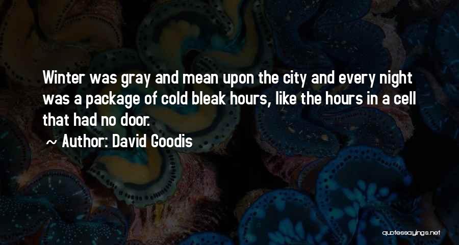 Bleak Winter Quotes By David Goodis