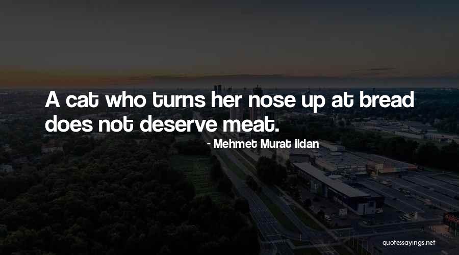 Bleary Eyed Quotes By Mehmet Murat Ildan Bleary Eyed Quotes By Mehmet Murat Ildan