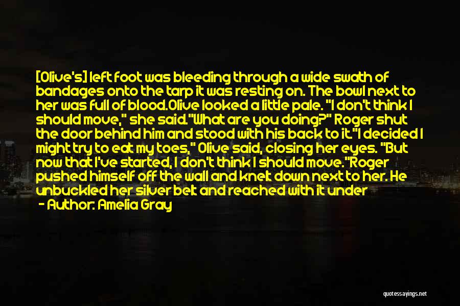 Bleeding Blood Quotes By Amelia Gray