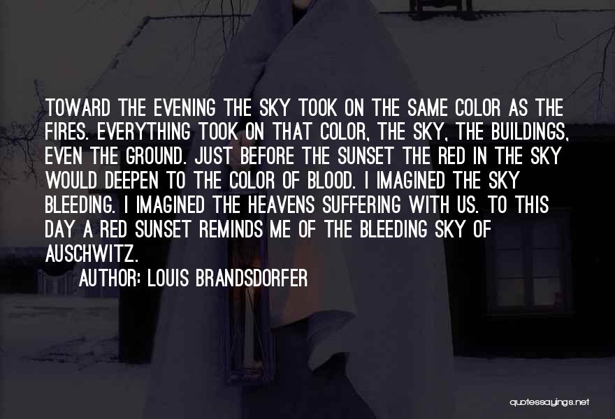 Bleeding Blood Quotes By Louis Brandsdorfer