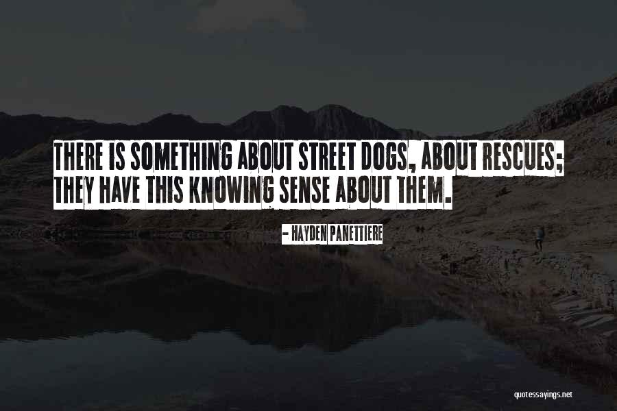 Bleedingstop Quotes By Hayden Panettiere Bleedingstop Quotes By Hayden Panettiere