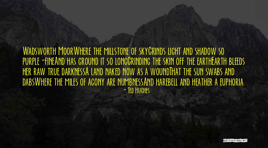 Bleeds Under The Skin Quotes By Ted Hughes Bleeds Under The Skin Quotes By Ted Hughes